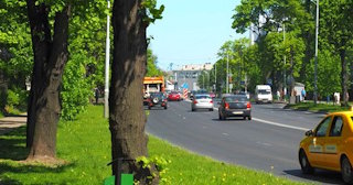 Посадка деревьев и кустарников в Гае — стоимость от 1220 руб.